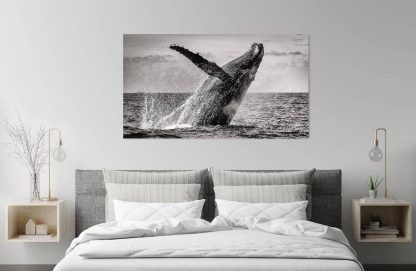 Whale Landscape "Turns to land" on the wall