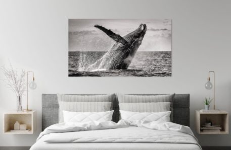 Paisaje de ballenas Secuencia Ruptura "Lanzamiento" I