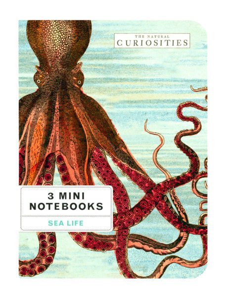 3 Mini Books Sea Life Vintage Illustrations