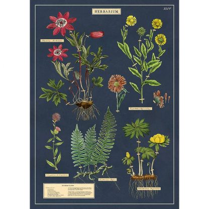 Pliego de papel vintage Cavallini & Co Herbarium
