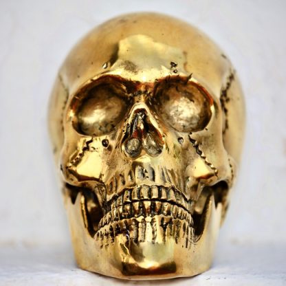 Cast Bronze of Homo Sapiens Skull