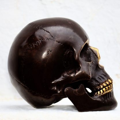 Cast Bronze of Homo Sapiens Skull