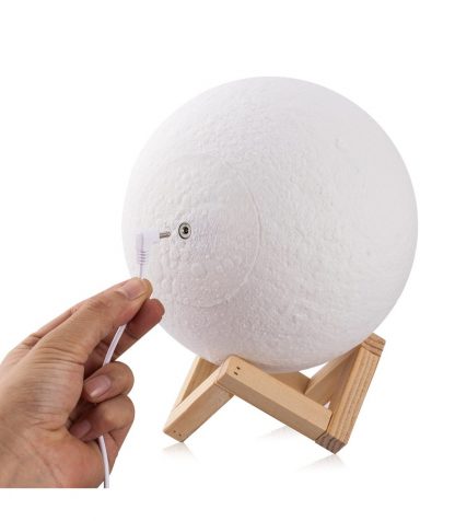 I Give You the Moon LED Lamp