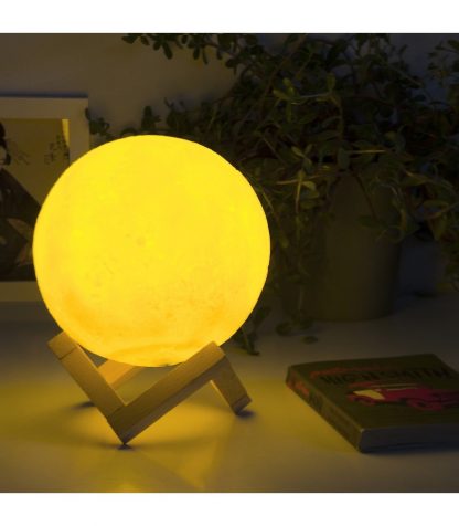 I Give You the Moon LED Lamp