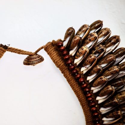 Papuan Seashells Necklace