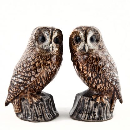 Pair of Ceramic Tawny Owls Salt and Pepper