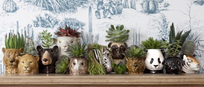 Colección de jarrones de cerámica animal con suculentas